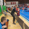IMG_20221111_172923